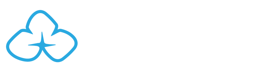 Blue Orchid Marketing